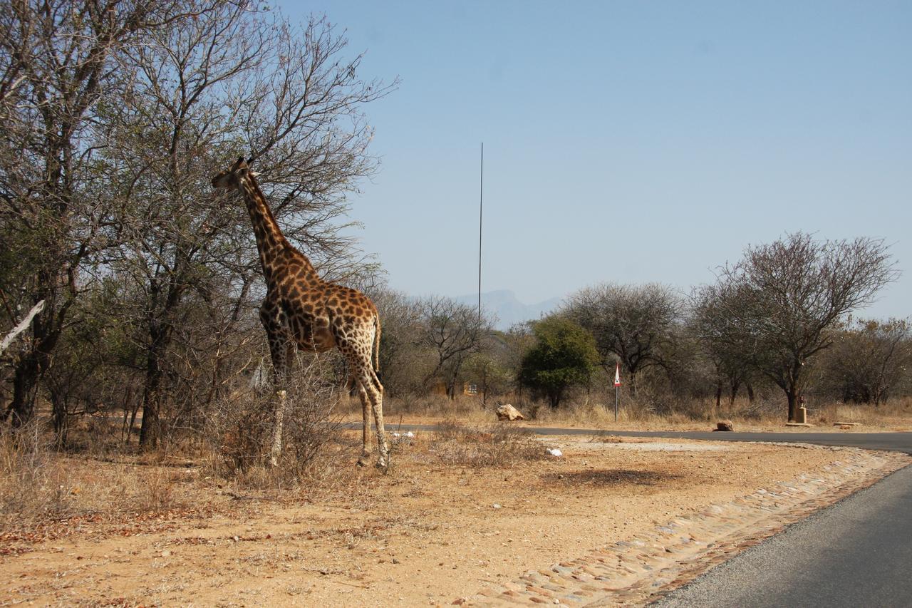 Giraffe Lodge 侯斯普瑞特 外观 照片